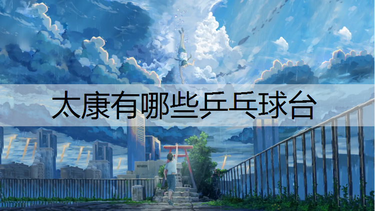 太康有哪些乒乓球台