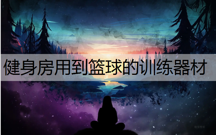 健身房用到篮球的训练器材