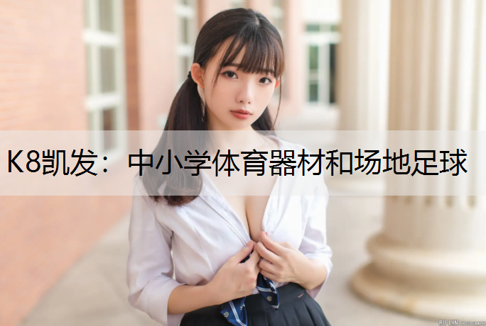 K8凯发：中小学体育器材和场地足球