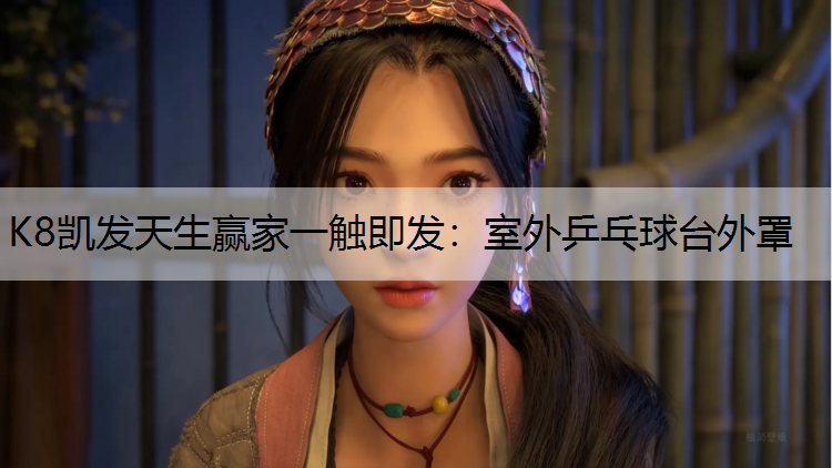 K8凯发天生赢家一触即发：室外乒乓球台外罩