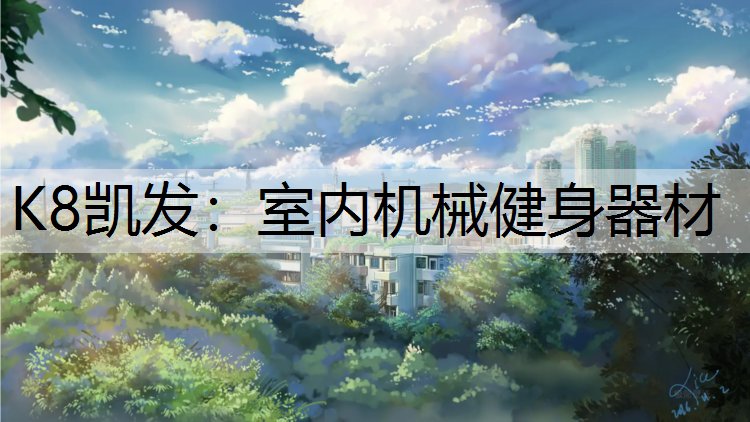 K8凯发：室内机械健身器材