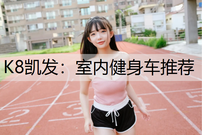 K8凯发：室内健身车推荐