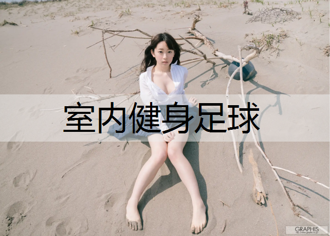 室内健身足球