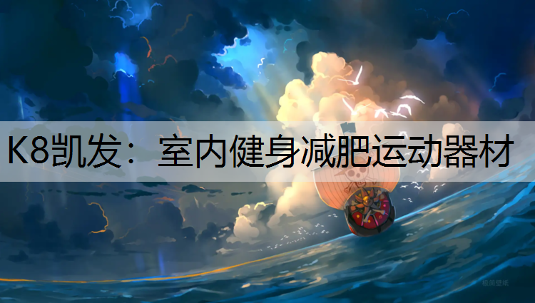 K8凯发：室内健身减肥运动器材