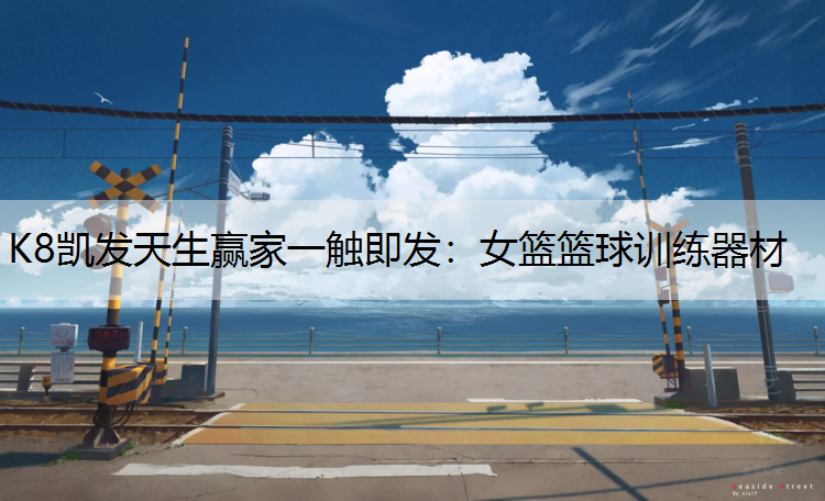 K8凯发天生赢家一触即发：女篮篮球训练器材