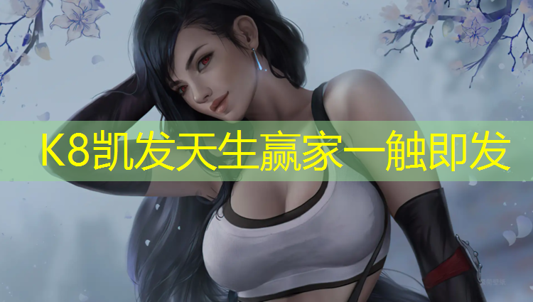 k8凯发官网入口：网球网什么材质好