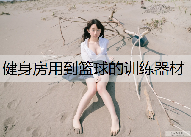 健身房用到篮球的训练器材