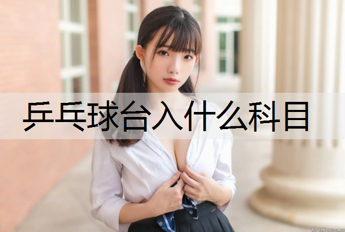 乒乓球台入什么科目